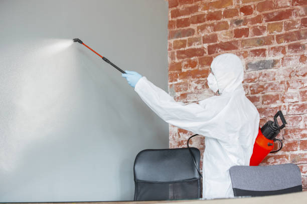 Best Industrial Mold Remediation  in Terrace Heights, WA