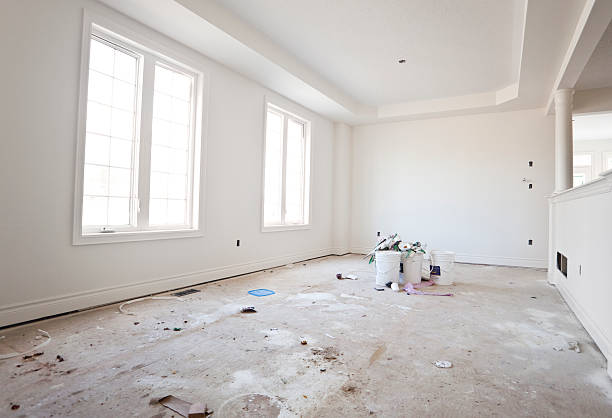 Best Mold Odor Removal Services  in Terrace Heights, WA